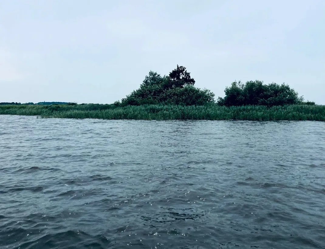 water IMG_6314