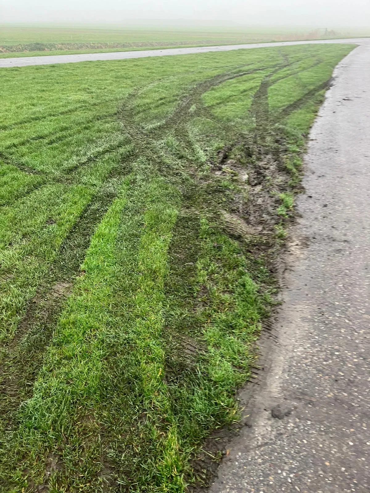Foto 1 Crosssporen in en bij de dijk bij Ferwert