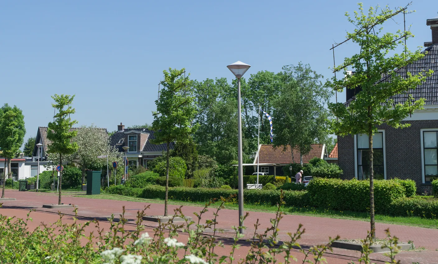 Dearsum-huizen-en-jonge-bomen-langs-weg