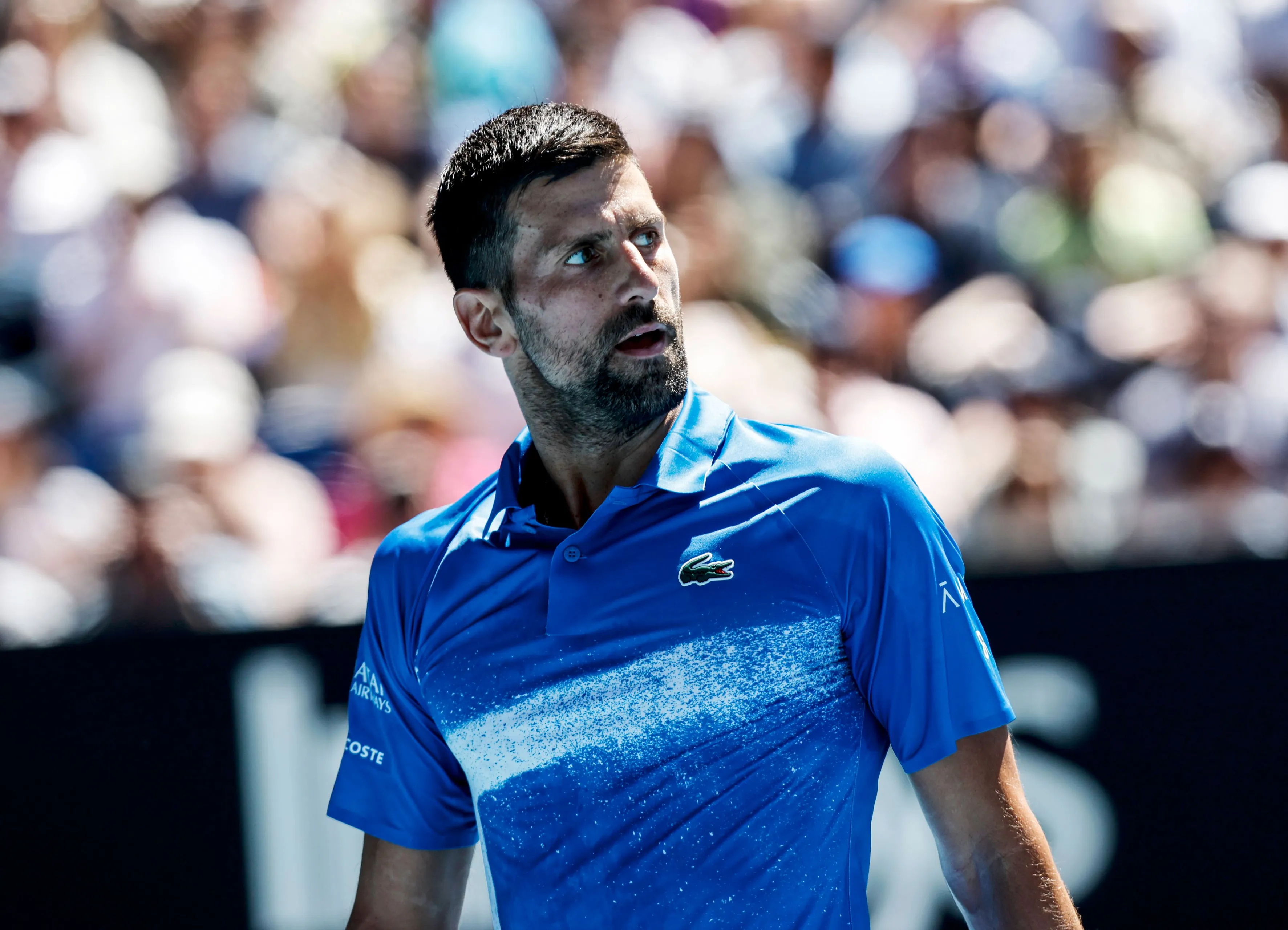 djokovicsf2