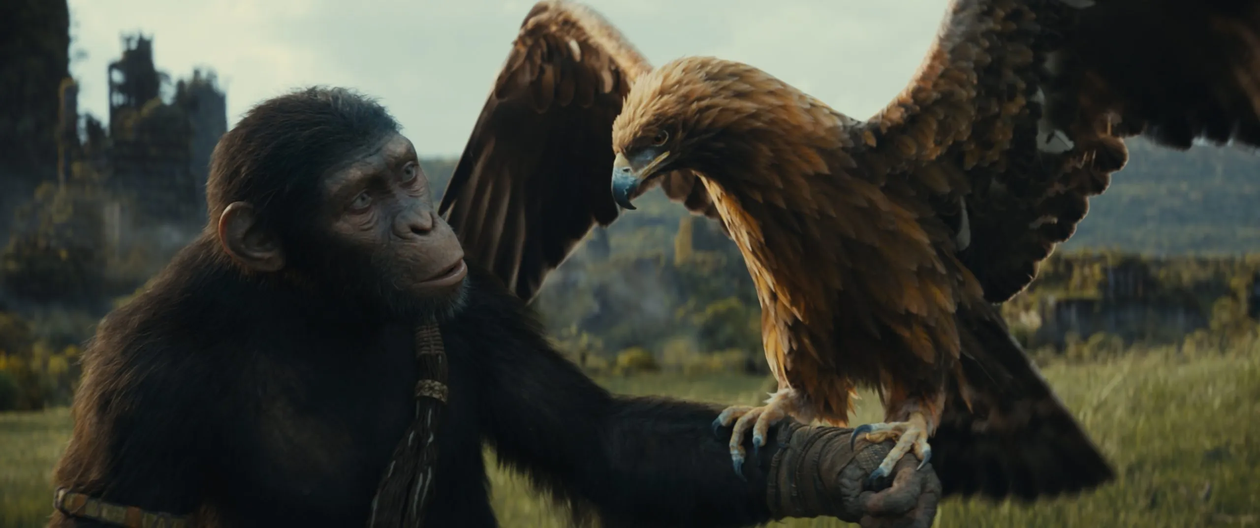 kingdom of the planet of the apes st 5 jpg sd high 2023 20th century studios all rights reserved scaled