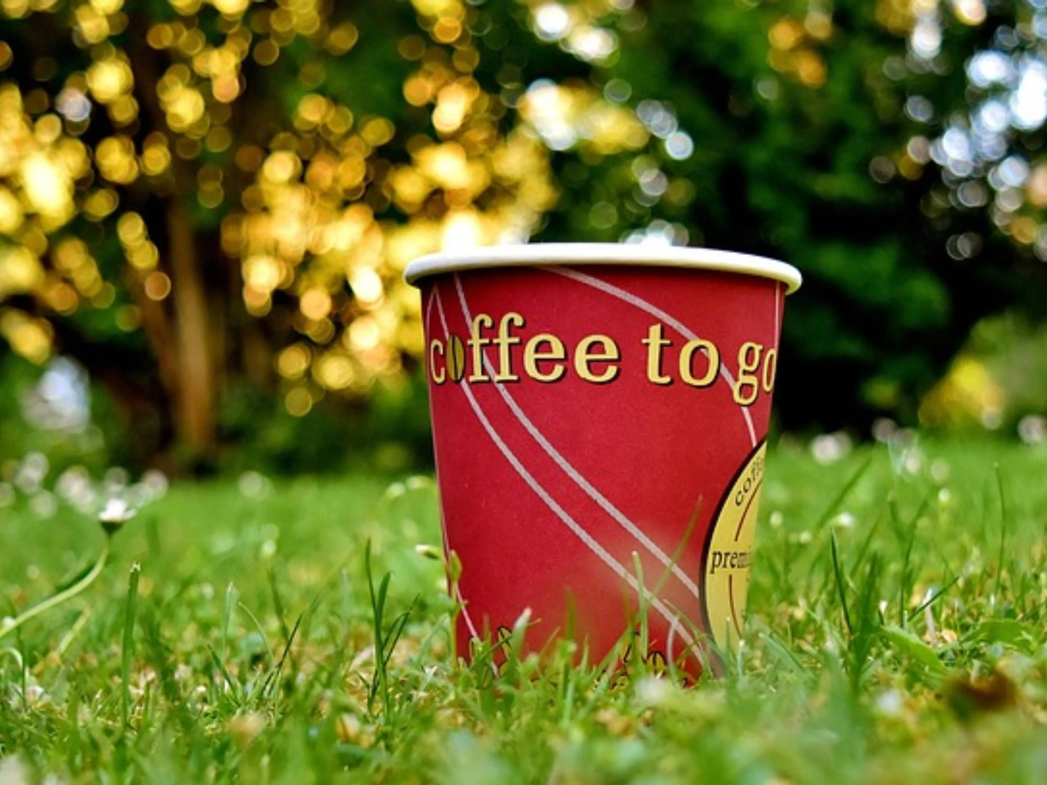 coffee to go