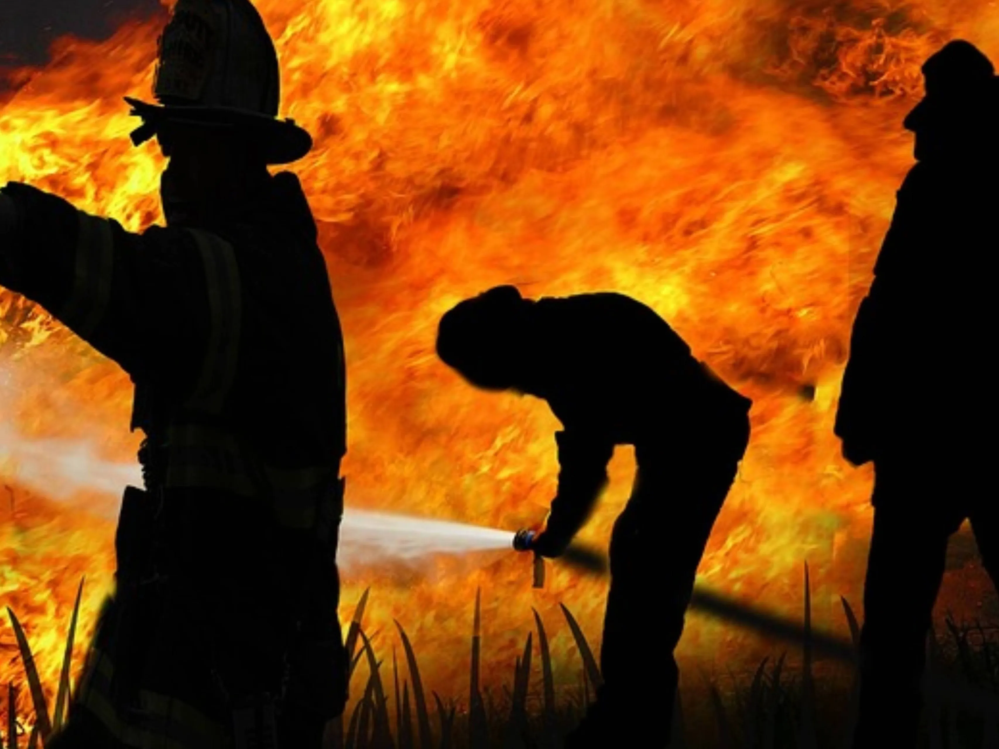 firefighters
