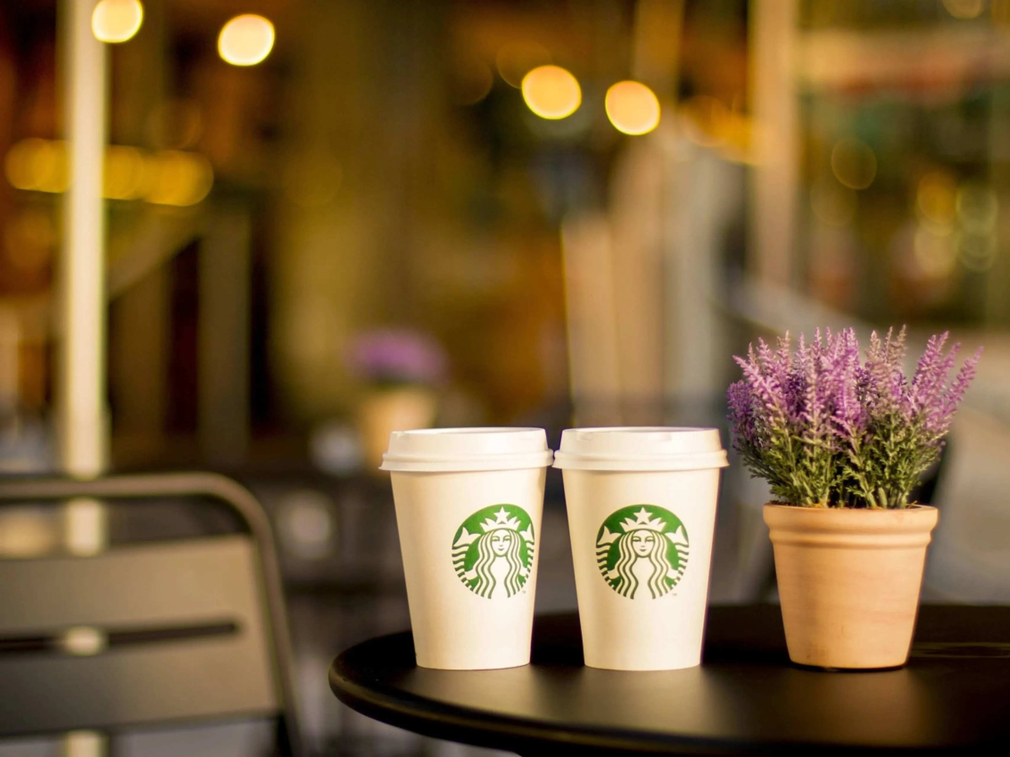 starbucks kopjes
