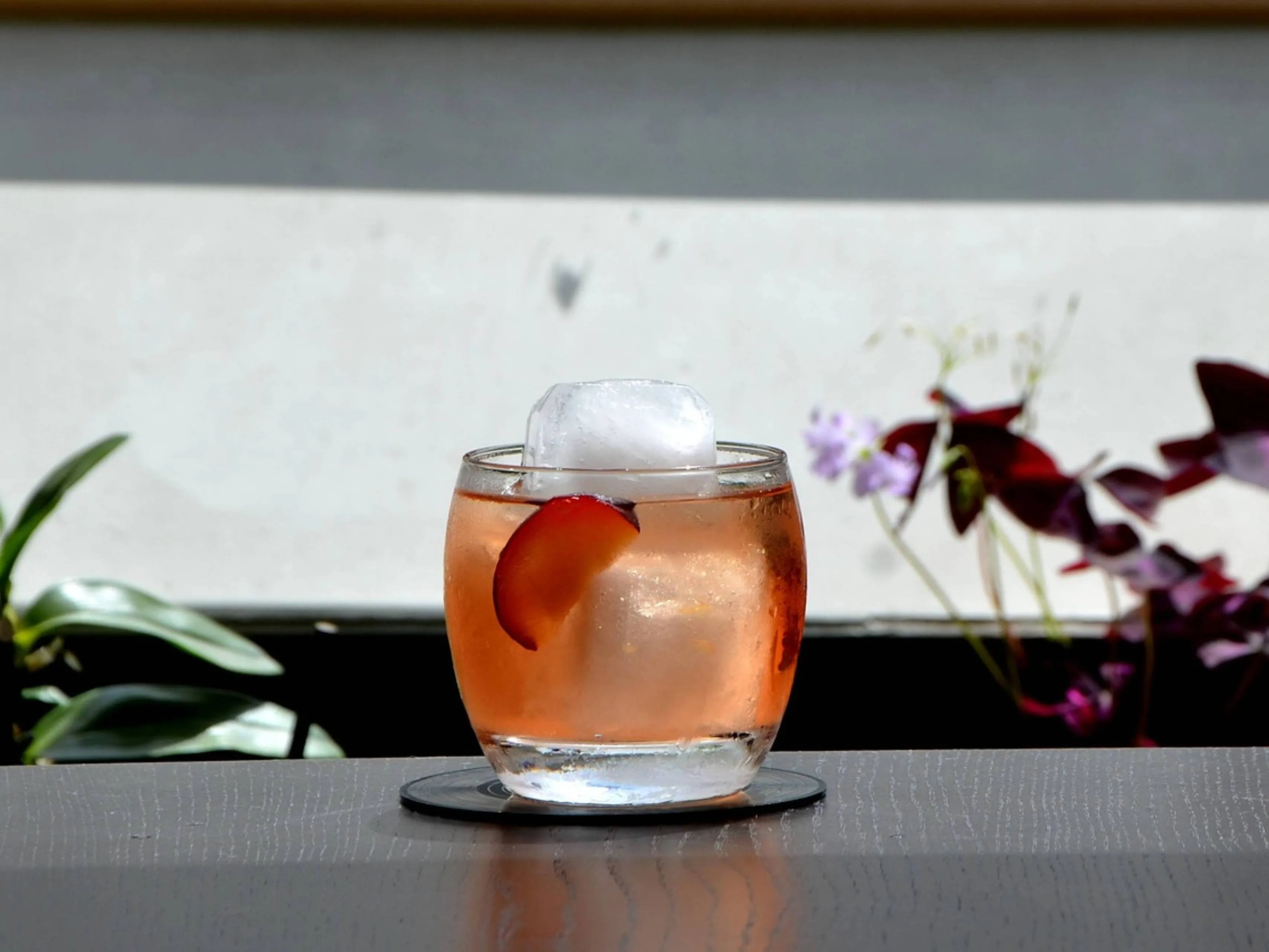 negroni 1
