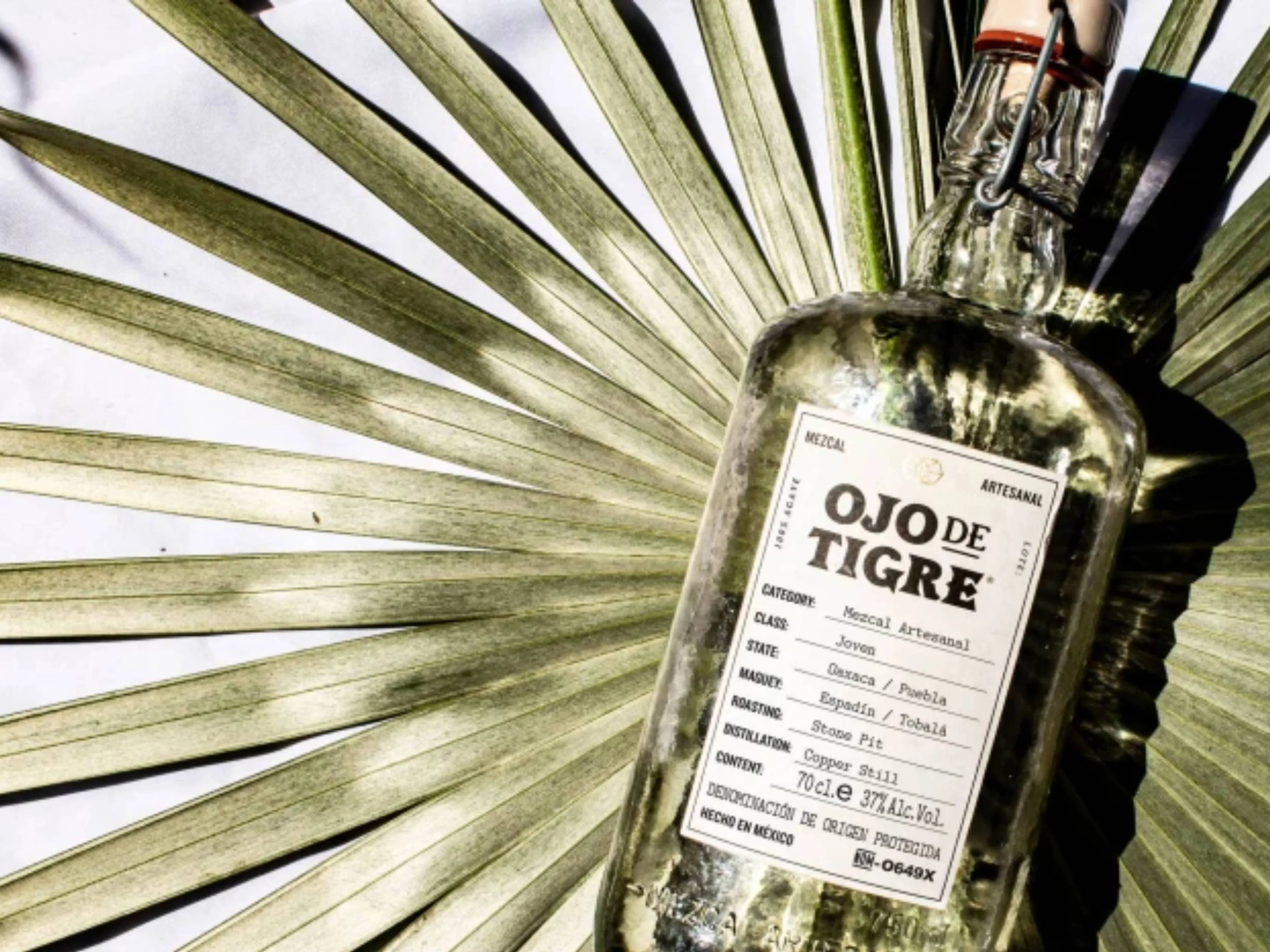 ojo de tigre 1