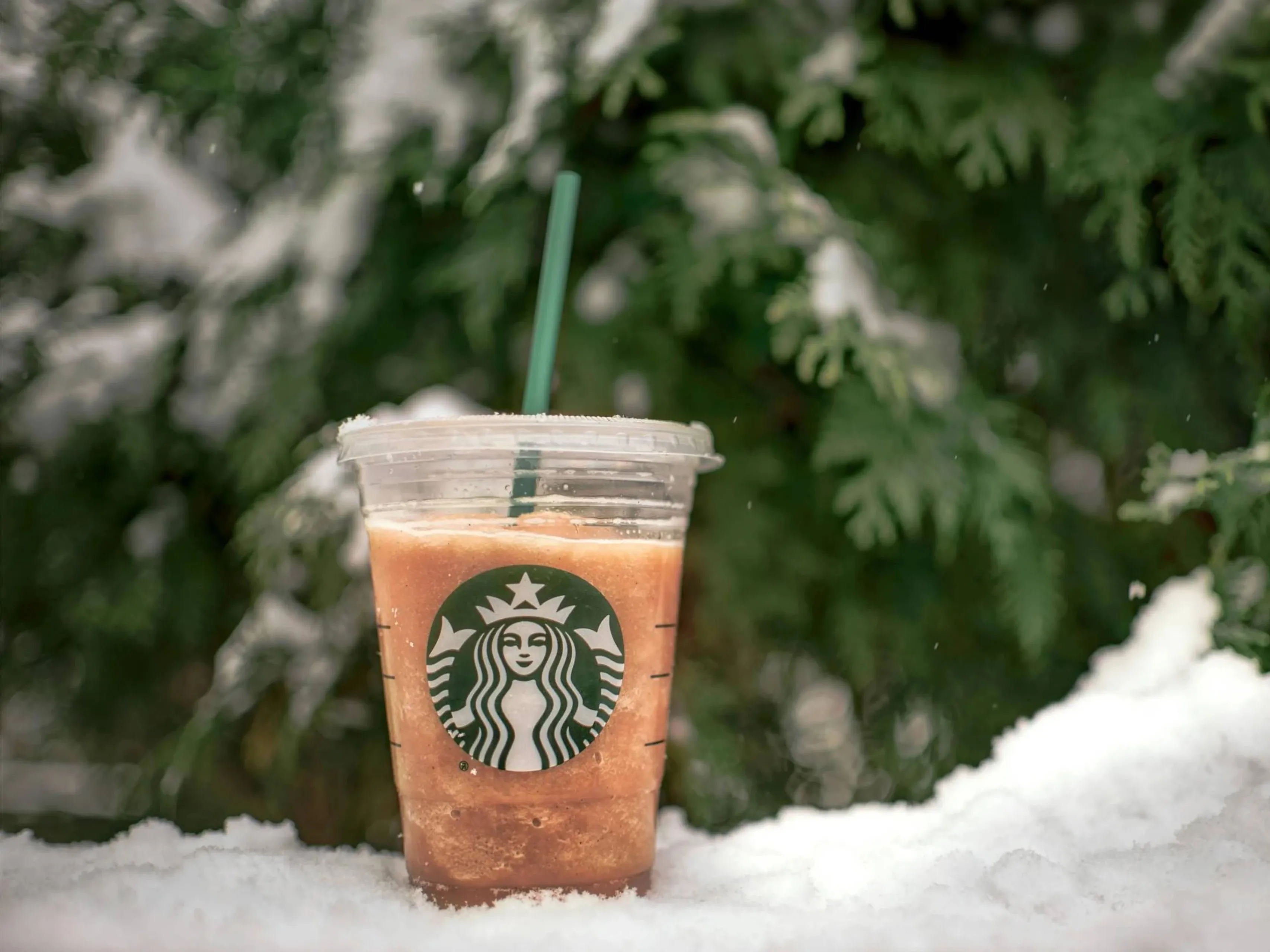 starbucksjpg