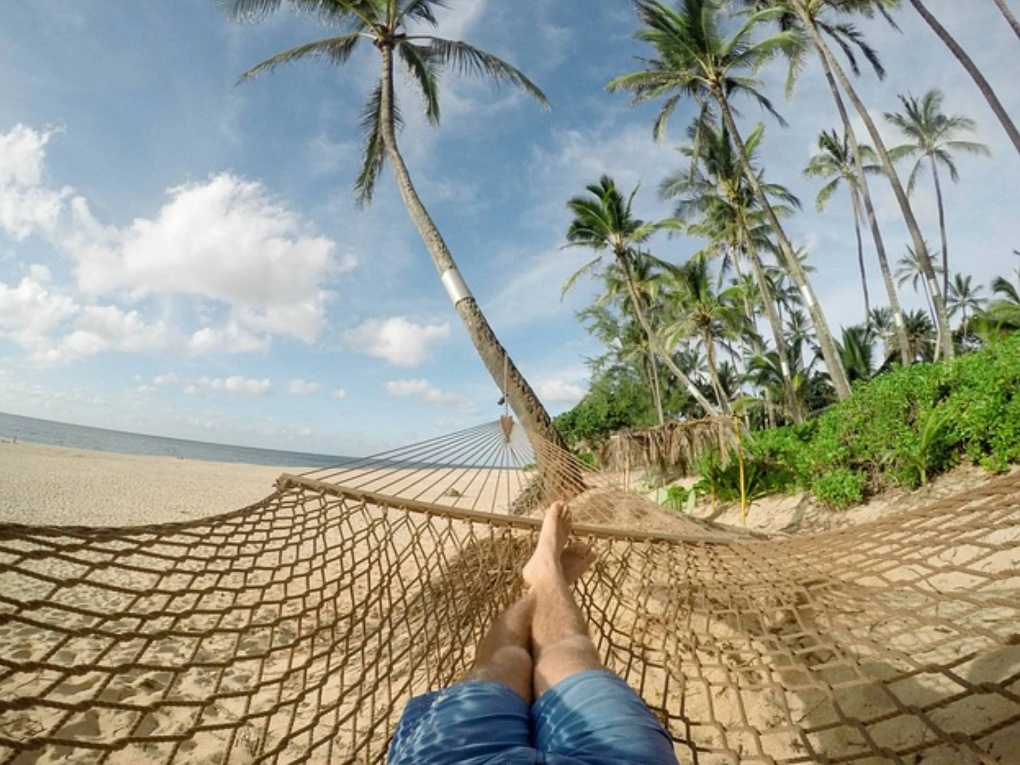 tropical holiday