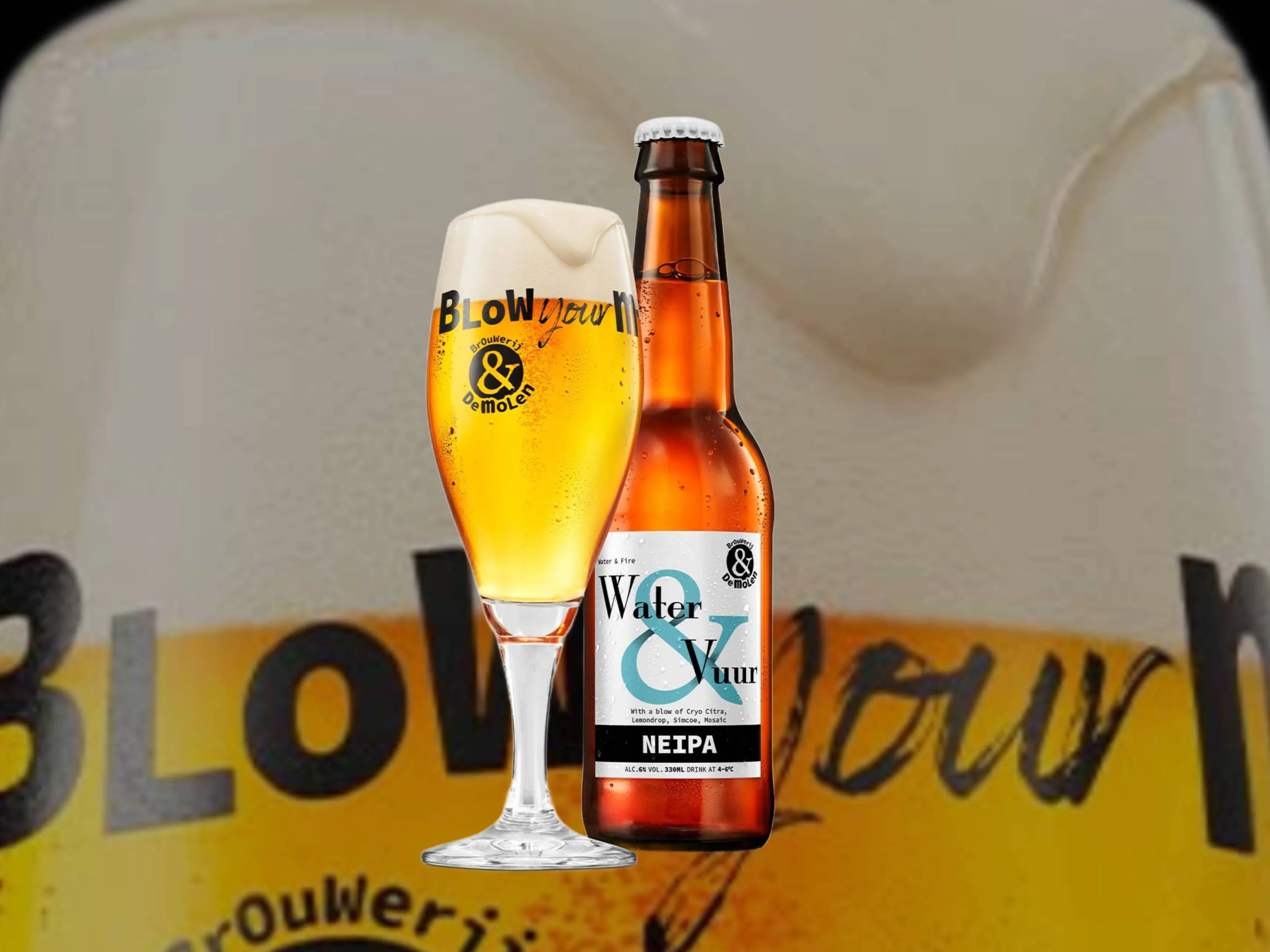 brouwerij de molen bier