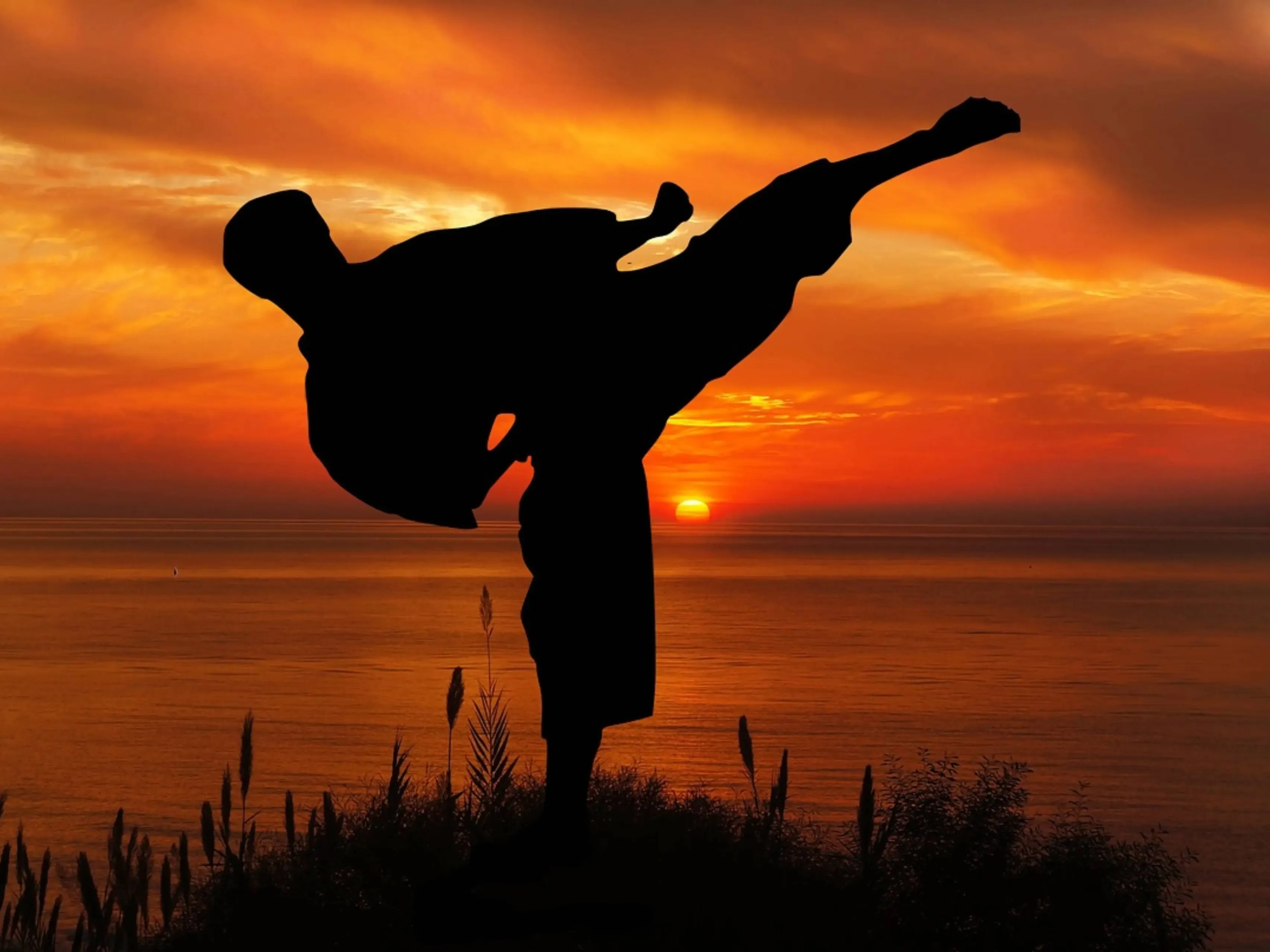 karate pixabayjpg