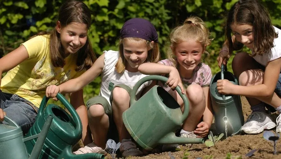 1584 86f21a202df4f16e8d5db152b54625eb 915x518 1