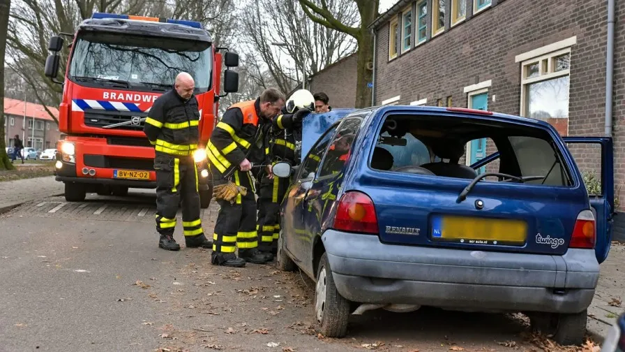 auto in brand