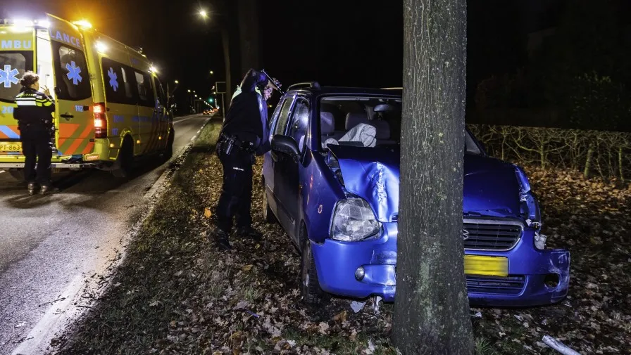 auto tegen boom