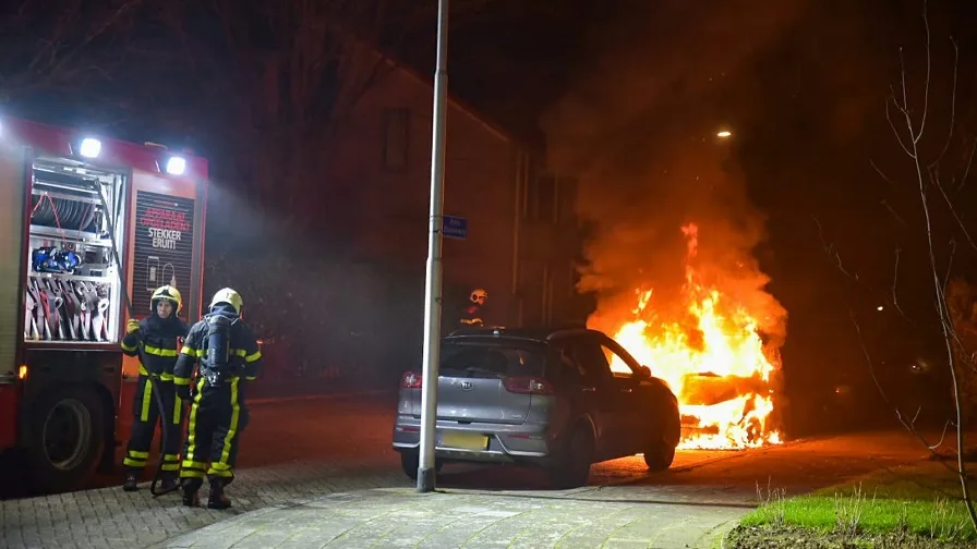 autobrand anna blama