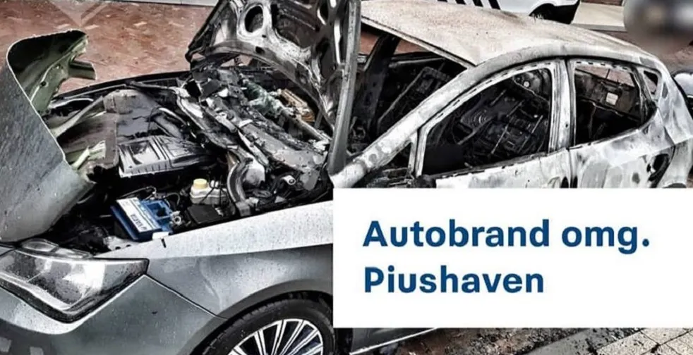 autobrand piushave