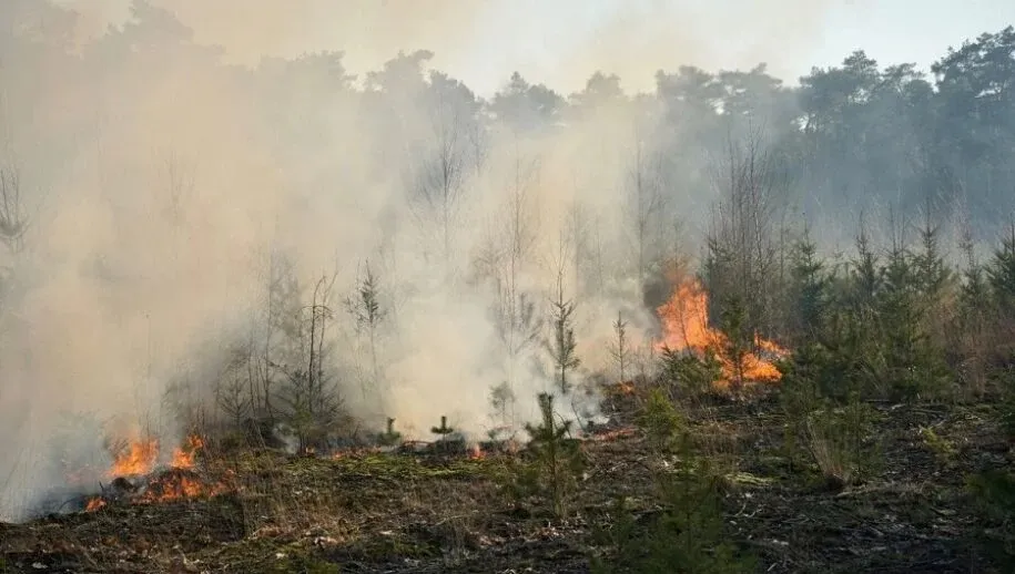 beeksedijk 915x518 1