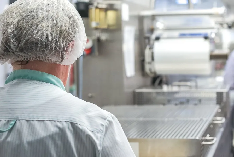 big kitchen 2765065 1920