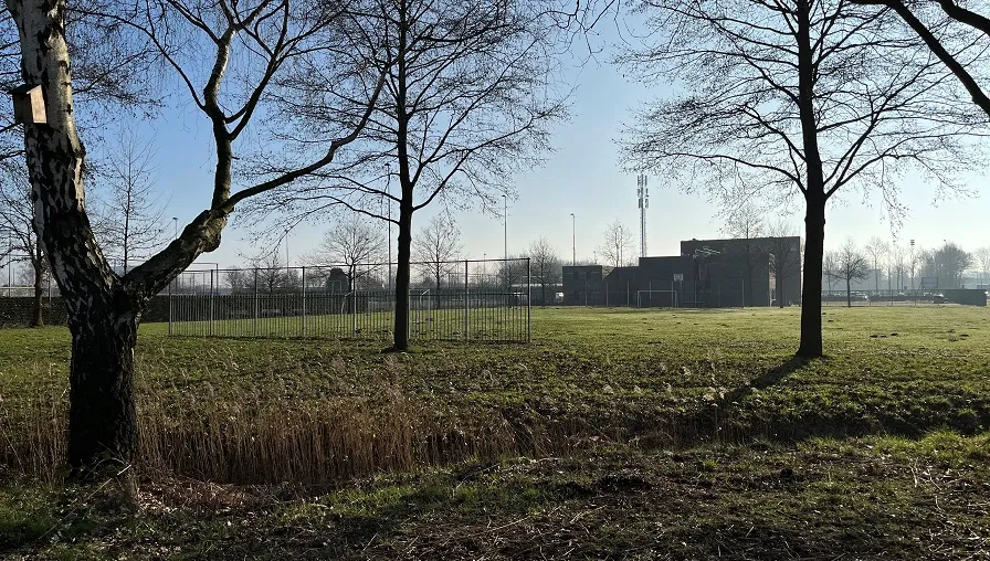 bijsterveldenlaan