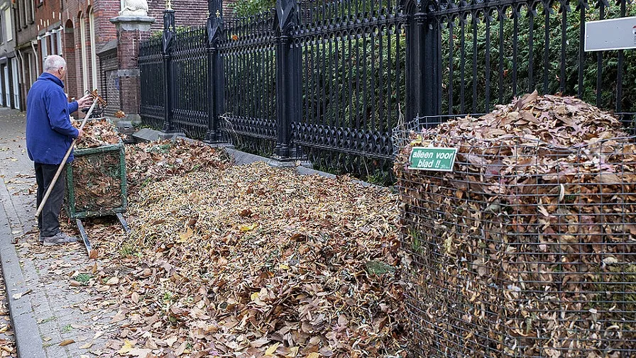 bladkorf met een man er bij 2e969ce7de