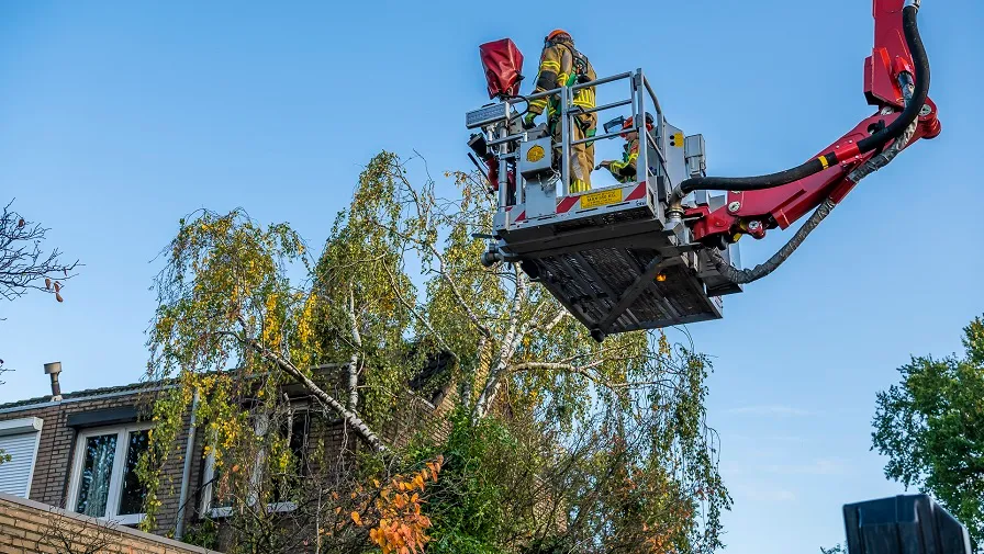 boom tegen woning