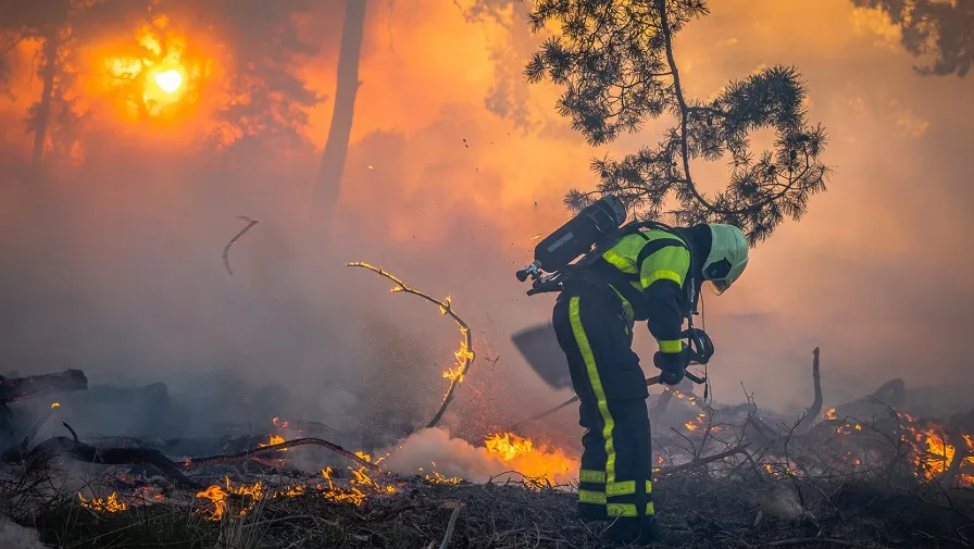 bosbrand heidebaan tilburg