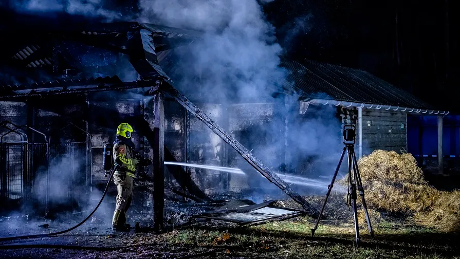 brand amarant