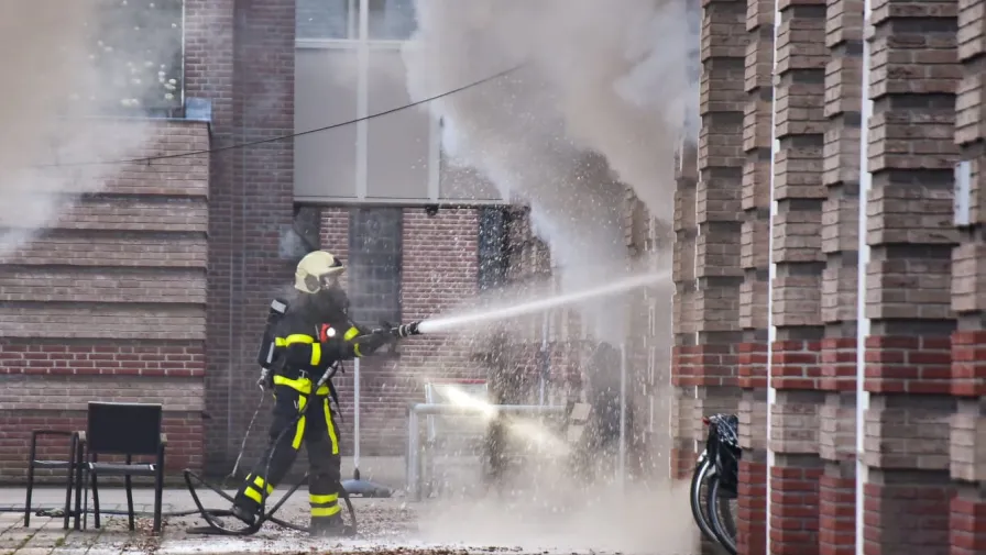 brand amarant