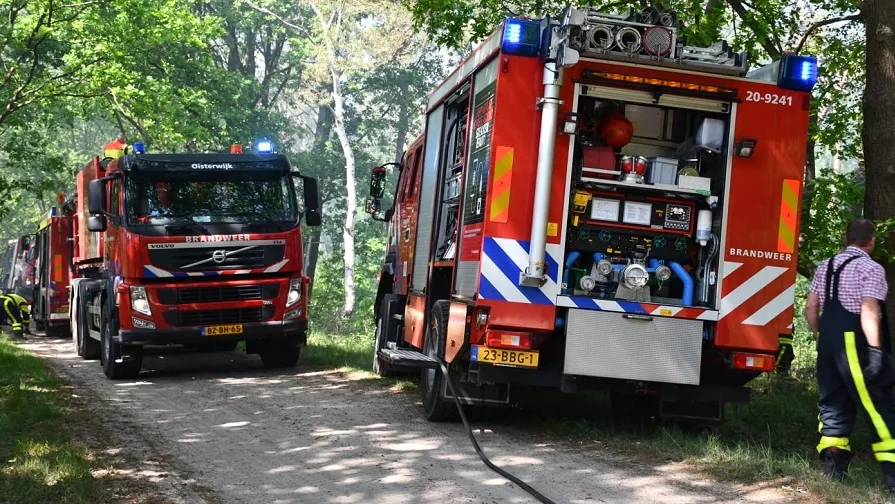 brand biets houtakker