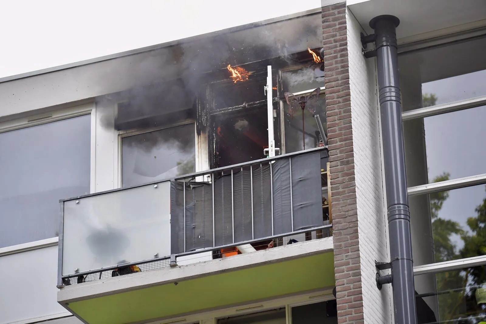 brand tilburg jack