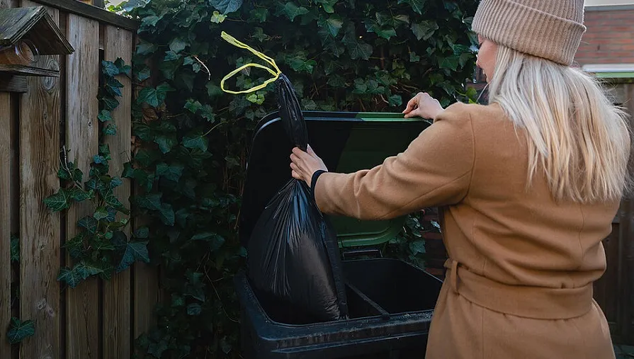 container gft 564d8c8dc3