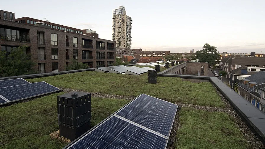 csm elzenstraat dsc 3032 e73be2fa2e