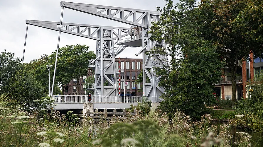 csm groen en brug f9c8884edd