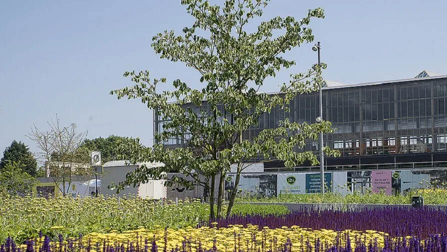 csm groen station cf0cbff5d2