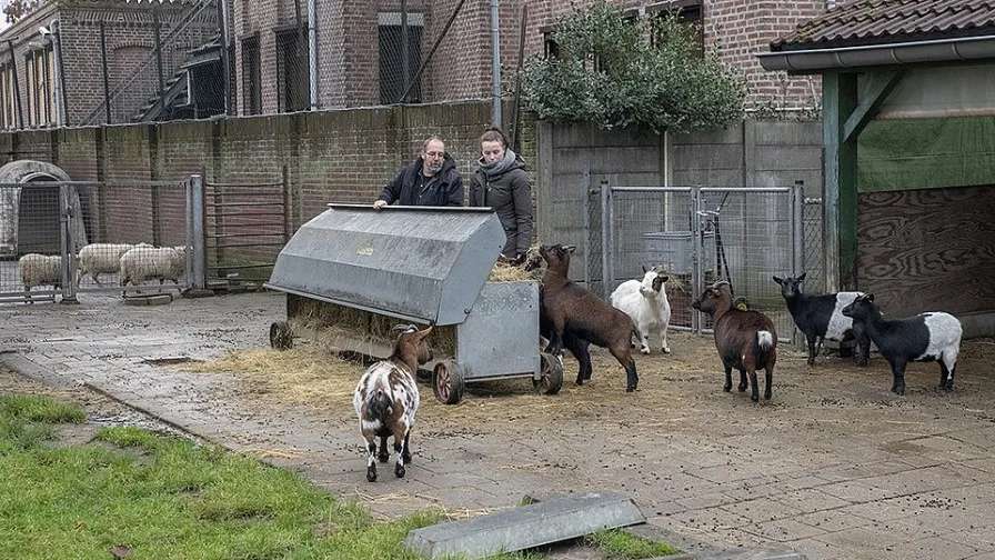 csm kinderboerderij a91afeeefe