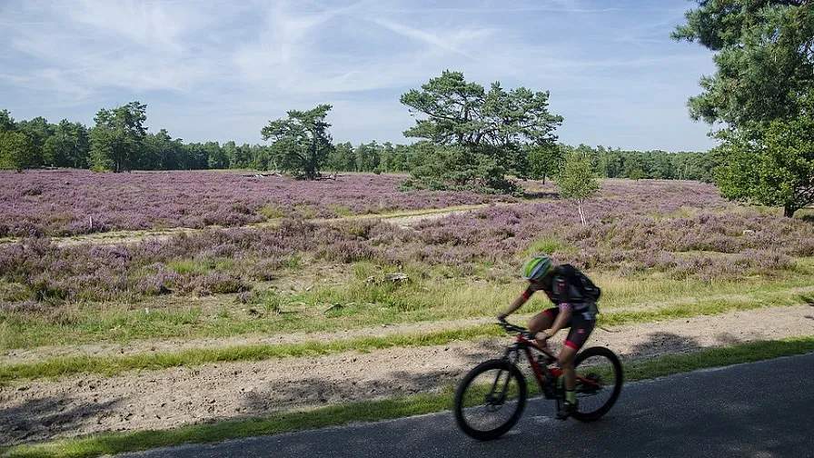 csm mountainbiken c4f6ad6538