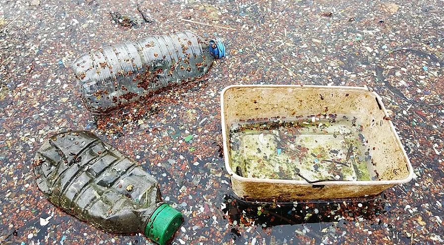 csm plastic in de vijver 60c3b72b91