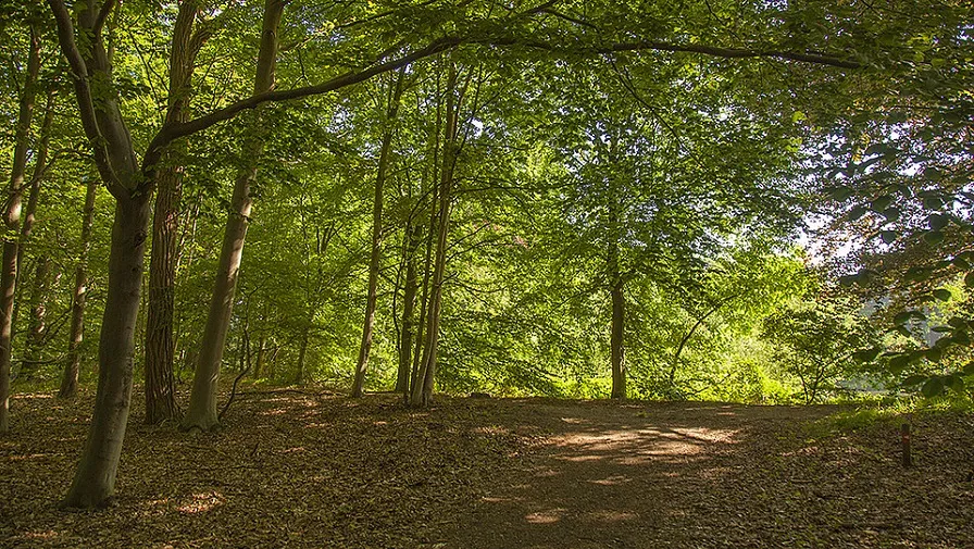 csm stadsbos 013 89f32e359f