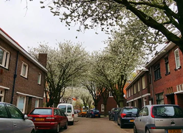 csm theresiastraat ec82885a4c