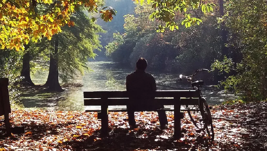 csm wandelbos bij ff5310f9f6