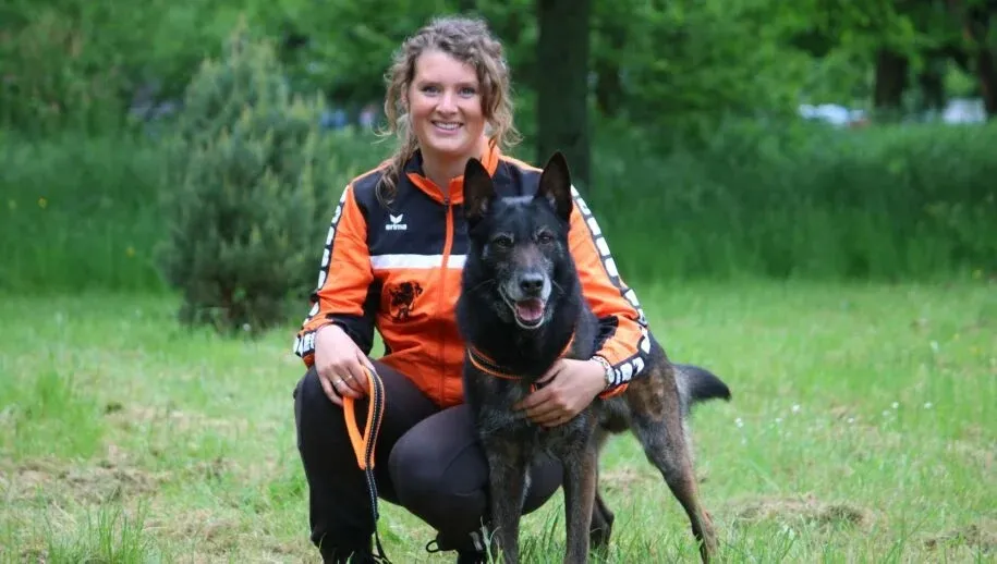 dogtraining1 915x518 3