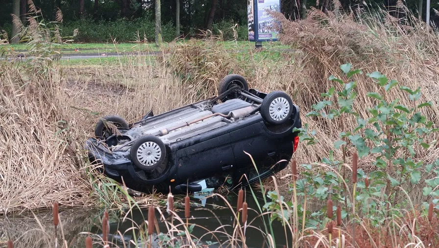 dongewijkdreef sloot