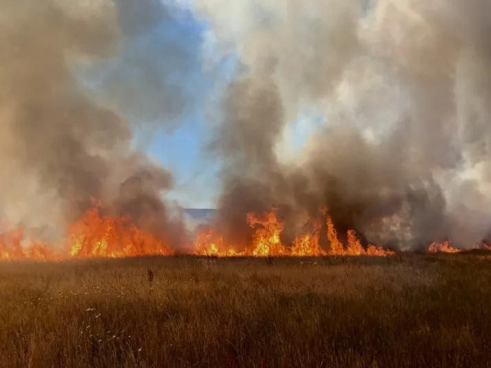 grote brand koolhoven