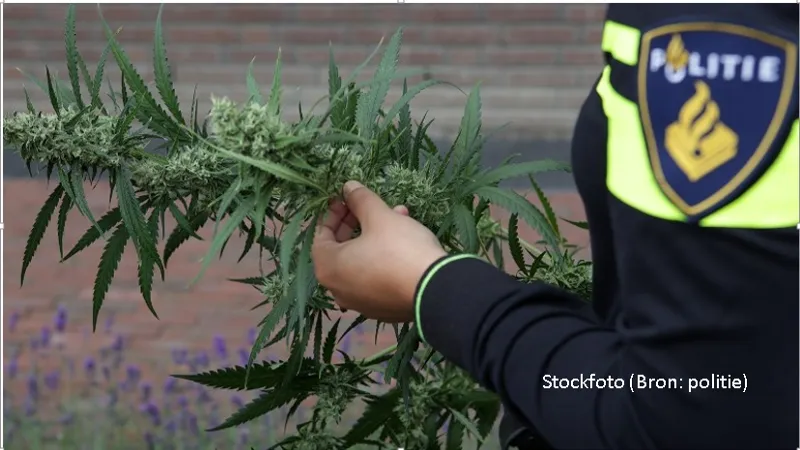 hennep