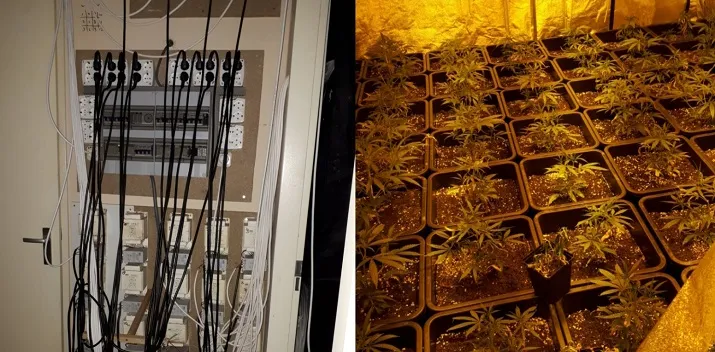 hennep schadewijkstraat