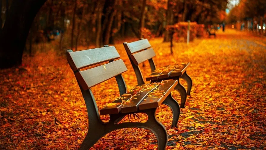 herfst