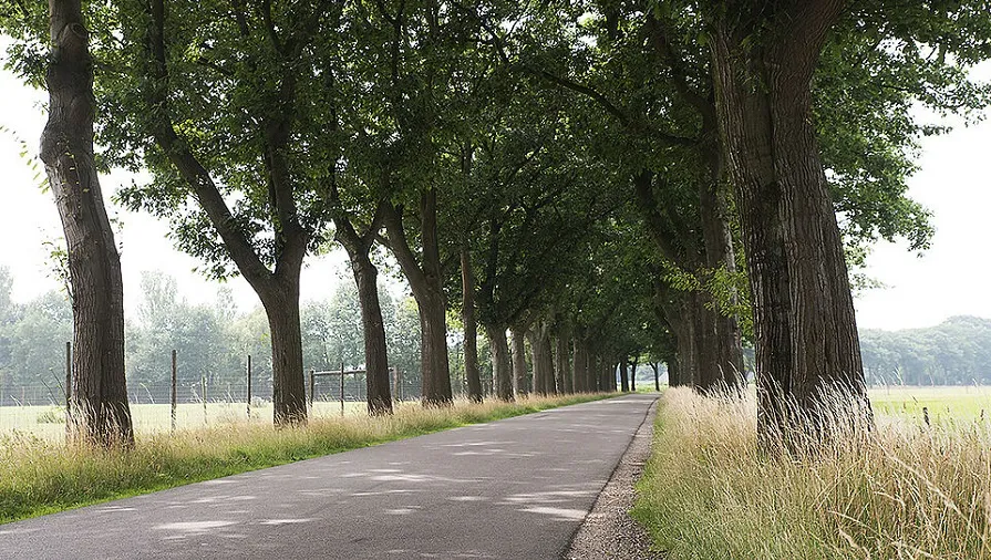 hultenseweg c9c5c5f3f6