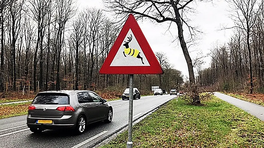 ik let op wild