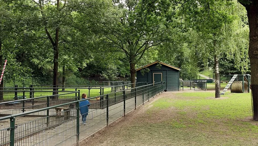 kindje op kinderboerderij 5c3ec24b37