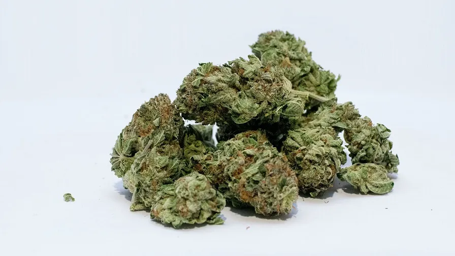 marijuana 2174302 1920