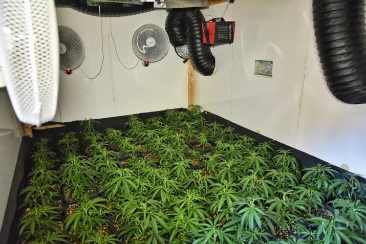 mobiele hennepkwekerij 1